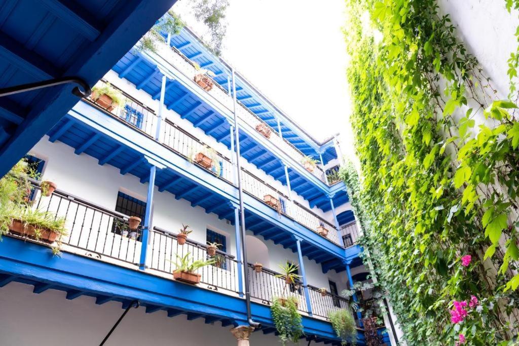 Apartamento Tourist House Vidrio *